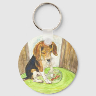 Chaveiro Faísca no aquário