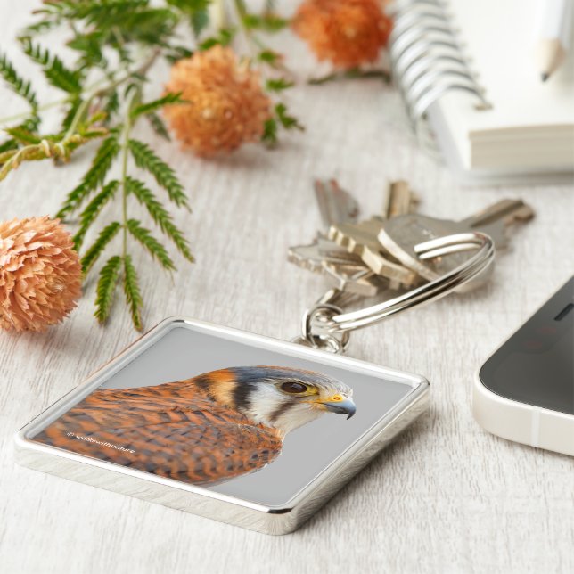 Chaveiro Falcão Americano Kestrel Sparrowhawwawk espantoso (Lateral)