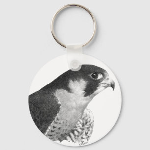 Chaveiro Falcão-Lápis do peregrino