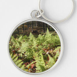 Chaveiro Fall Ferns