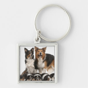 Chaveiro Família de border collie