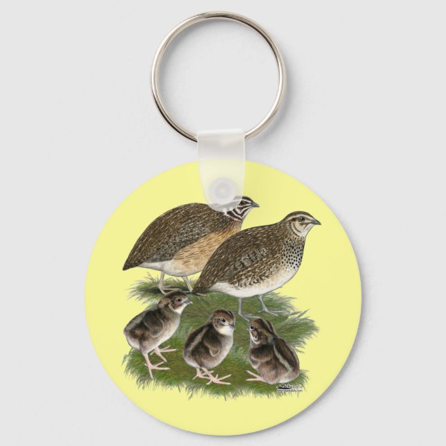 Chaveiro Família de Codorniz Coturnix (Frente)