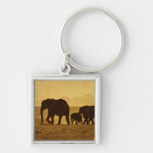 Chaveiro Família do elefante