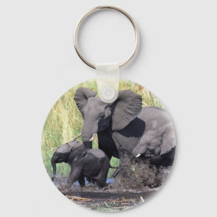 Chaveiro Família dos elefants