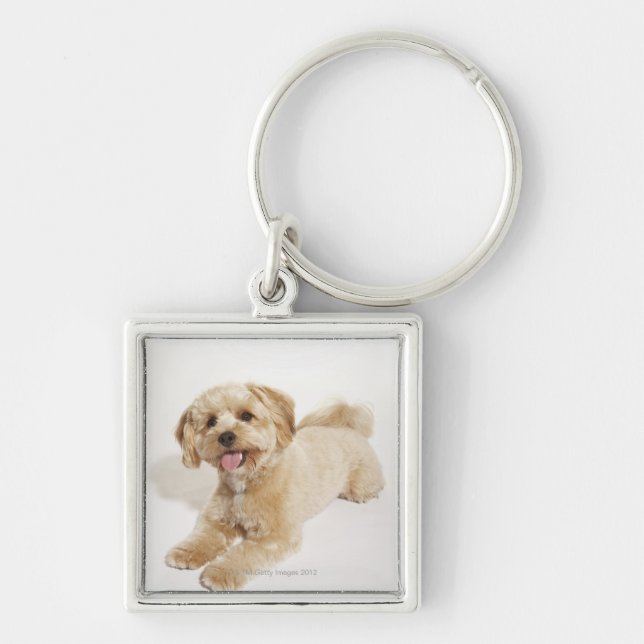 Chaveiro Familiaris do Canis (Frente)