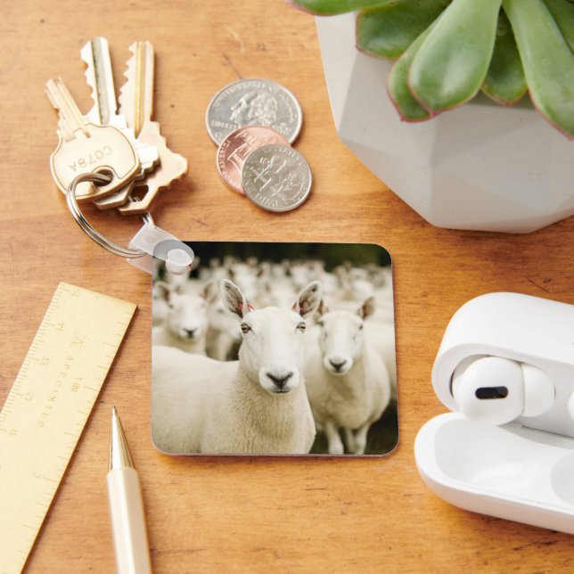 Chaveiro Farms | Herd of Sheep (Mesa)