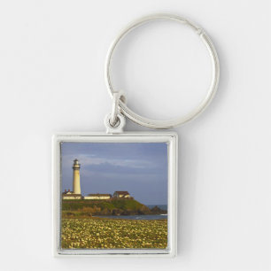 Chaveiro Farol em Pigeon Point State Beach em San