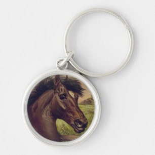 Chaveiro fazenda de cavalos rancho passeio esportes equinos