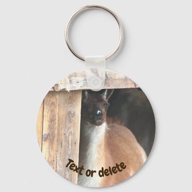 Chaveiro Fazenda de Llama Bonita Personalizada (Frente)