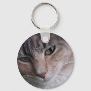 Chaveiro Fechamento de gatos