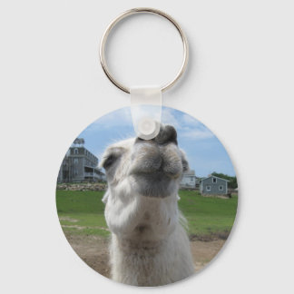 Chaveiro Fechamento do Kiss Me Llama