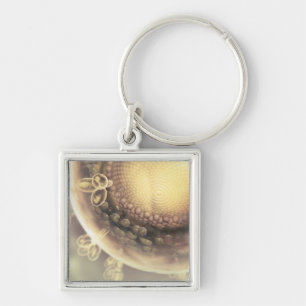 Chaveiro Feche acima da estrutura de uma pilha do HIV