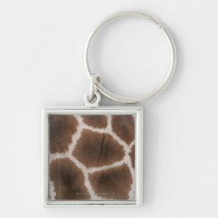 Chaveiro Feche acima da pele dos girafas