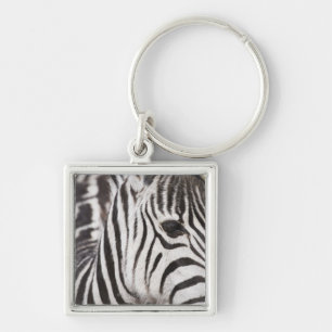 Chaveiro Feche acima da zebra