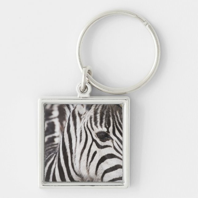 Chaveiro Feche acima da zebra (Frente)