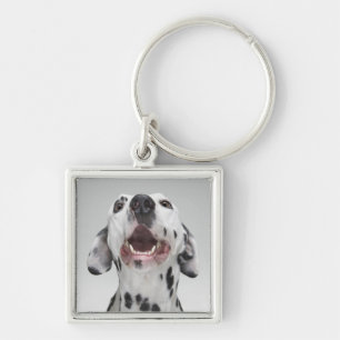Chaveiro Feche acima de um cão Dalmatian