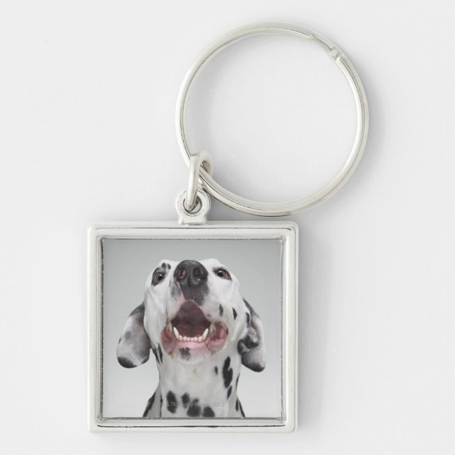 Chaveiro Feche acima de um cão Dalmatian (Frente)