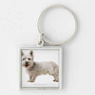 Chaveiro Feche acima de um terrier