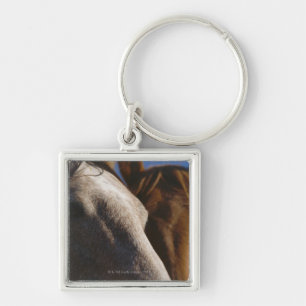 Chaveiro Feche acima dos cavalos