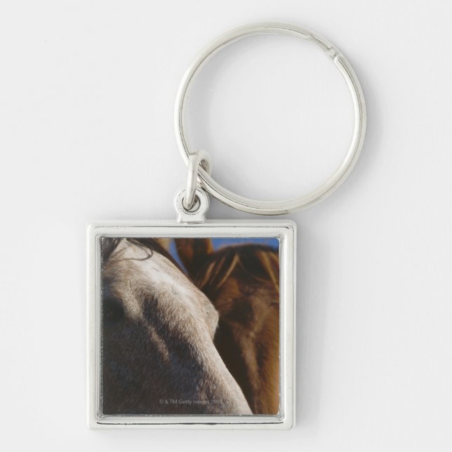 Chaveiro Feche acima dos cavalos (Frente)