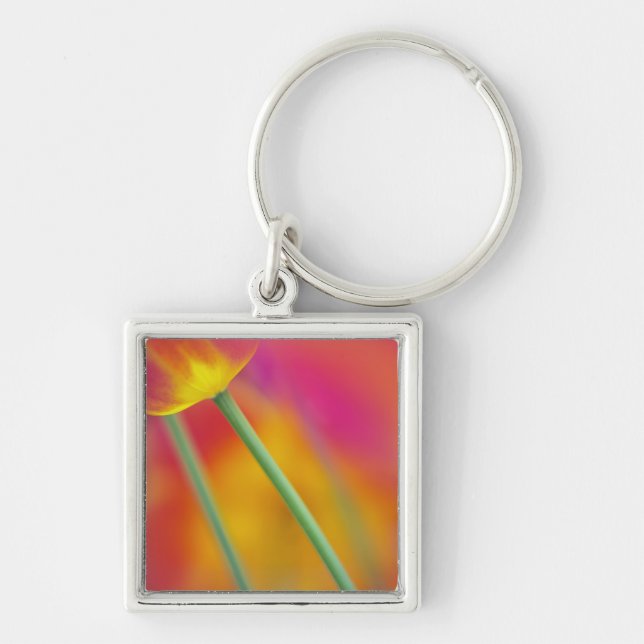 Chaveiro Fecho da parte inferior da flor da tulipa, (Frente)