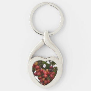 Chaveiro Feijões de café de El Salvador