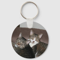 felinos