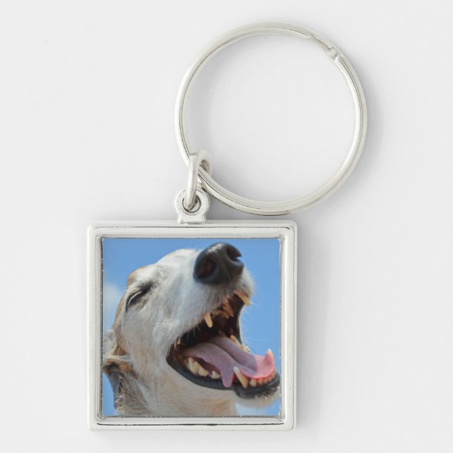 Chaveiro Feliz Sorriso de Rosto Greyhound (Frente)