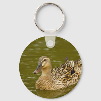 Chaveiro Female Mallard