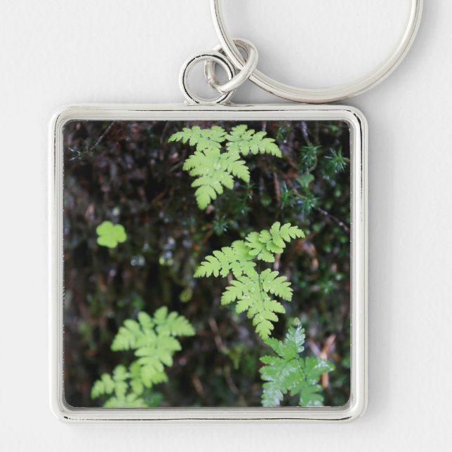 Chaveiro Ferns - (Frente)