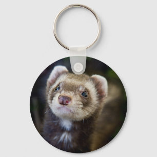 Chaveiro Ferret