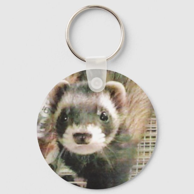 Chaveiro Ferret Boco Sable (Frente)