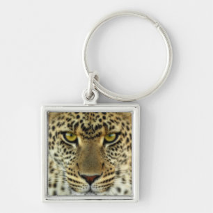 Chaveiro Fierce Leopard