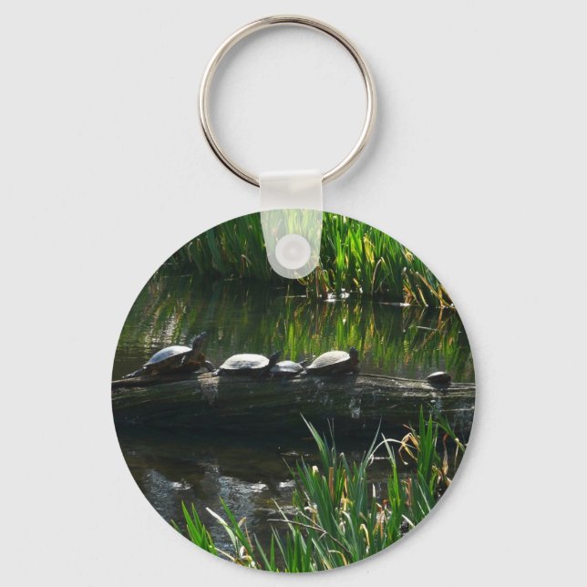 Chaveiro Fileira de Tartarugas Foto Verde (Frente)