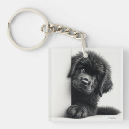 Chaveiro Filhote curioso preto de Newfoundland espiando