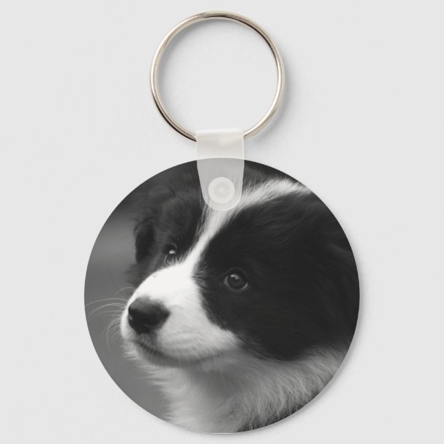 Chaveiro Filhote de Border Collie (Frente)