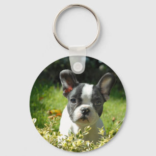 Chaveiro Filhote de Bulldog Francês Preto e Branco