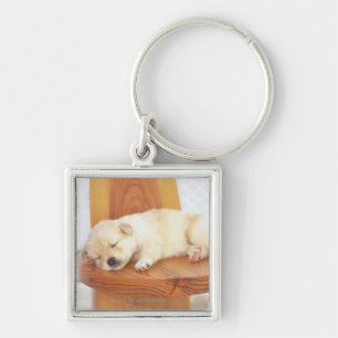 Chaveiro Filhote de cachorro