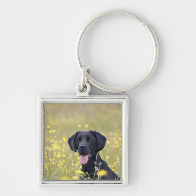 Chaveiro Filhote de cachorro 16 meses 2 (Frente)