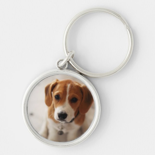 Chaveiro Filhote de cachorro 2 do lebreiro (Frente)