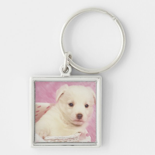 Chaveiro Filhote de cachorro 5 (Frente)
