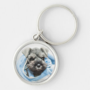 Chaveiro Filhote de cachorro após o banho