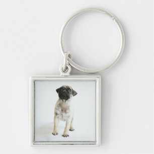 Chaveiro Filhote de cachorro bonito do Pug