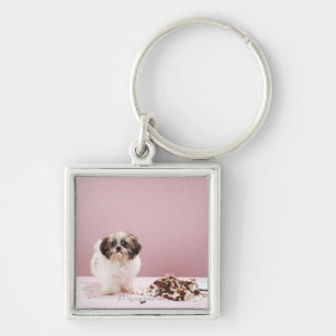 Chaveiro Filhote de cachorro com o bolo no assoalho