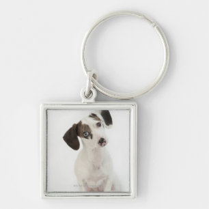 Chaveiro Filhote de cachorro da fêmea do