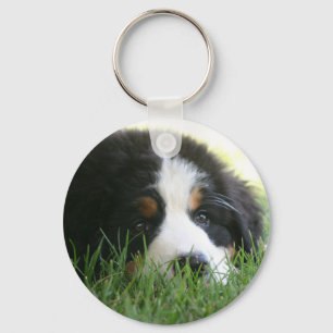 Chaveiro Filhote de cachorro de Bernese