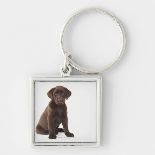 Chaveiro Filhote de cachorro de labrador retriever do (Frente)