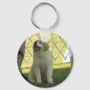 Chaveiro Filhote de cachorro de Pyr