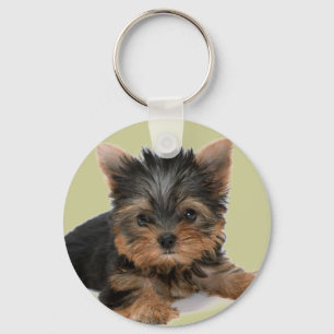 Chaveiro Filhote de cachorro de Yorkie
