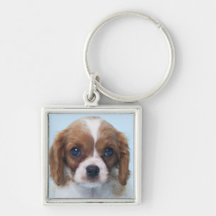 Chaveiro Filhote de cachorro descuidado do Spaniel de rei